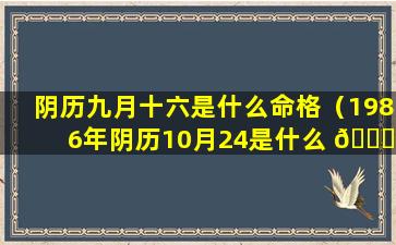 阴历九月十六是什么命格（1986年阴历10月24是什么 🐎 命格）